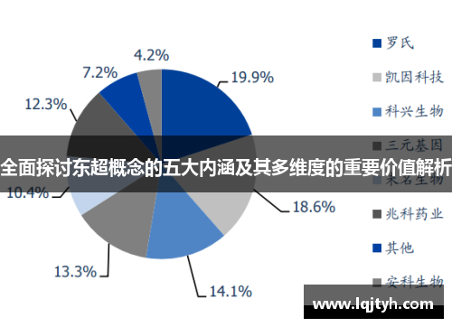 全面探讨东超概念的五大内涵及其多维度的重要价值解析